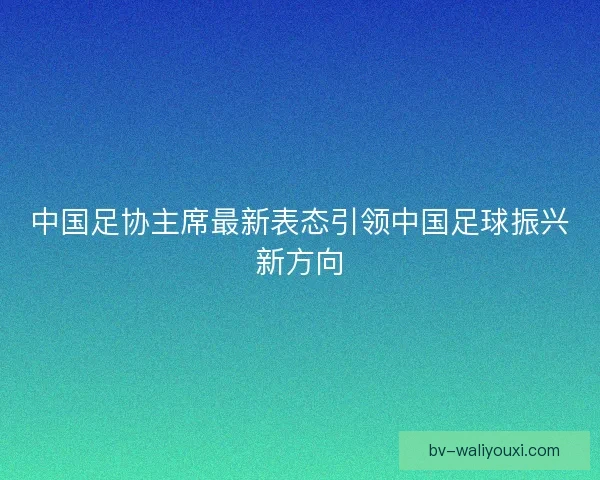 中国足协主席最新表态引领中国足球振兴新方向